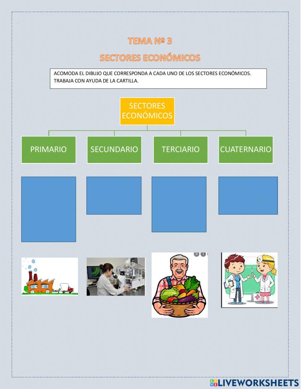 Sectores económicos