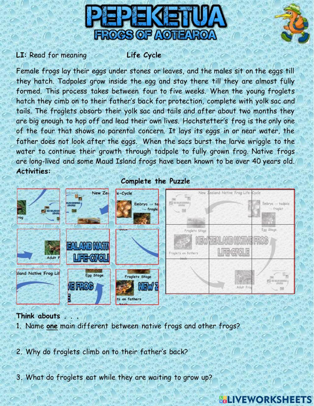 NZ Frogs - Life Cycle