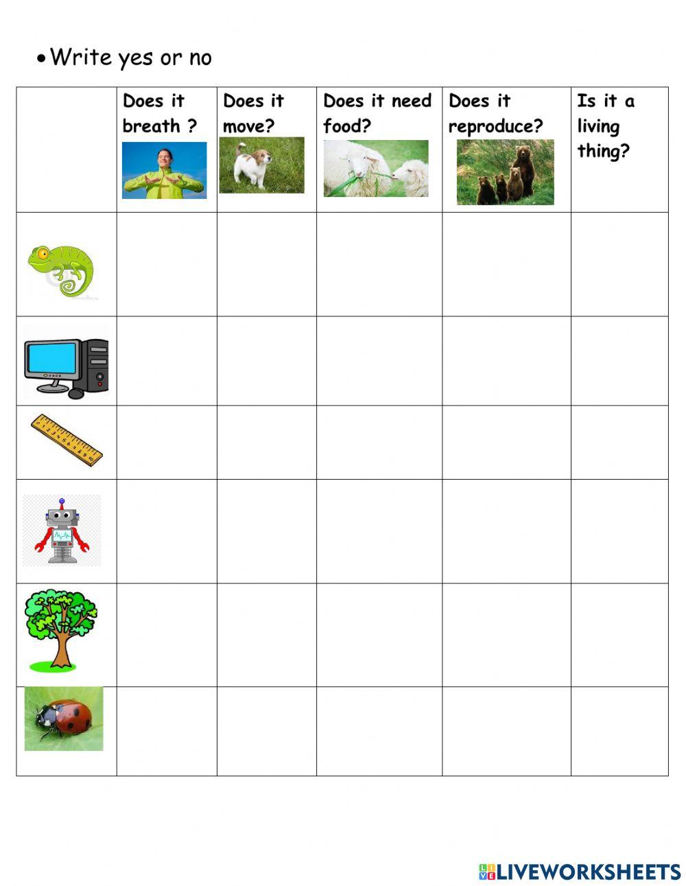 Living and non living things