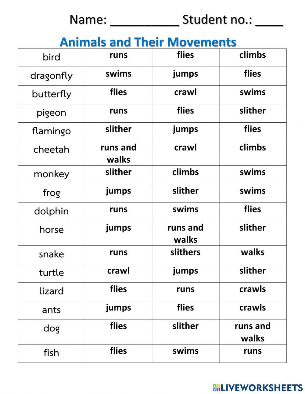 Animals and their movements