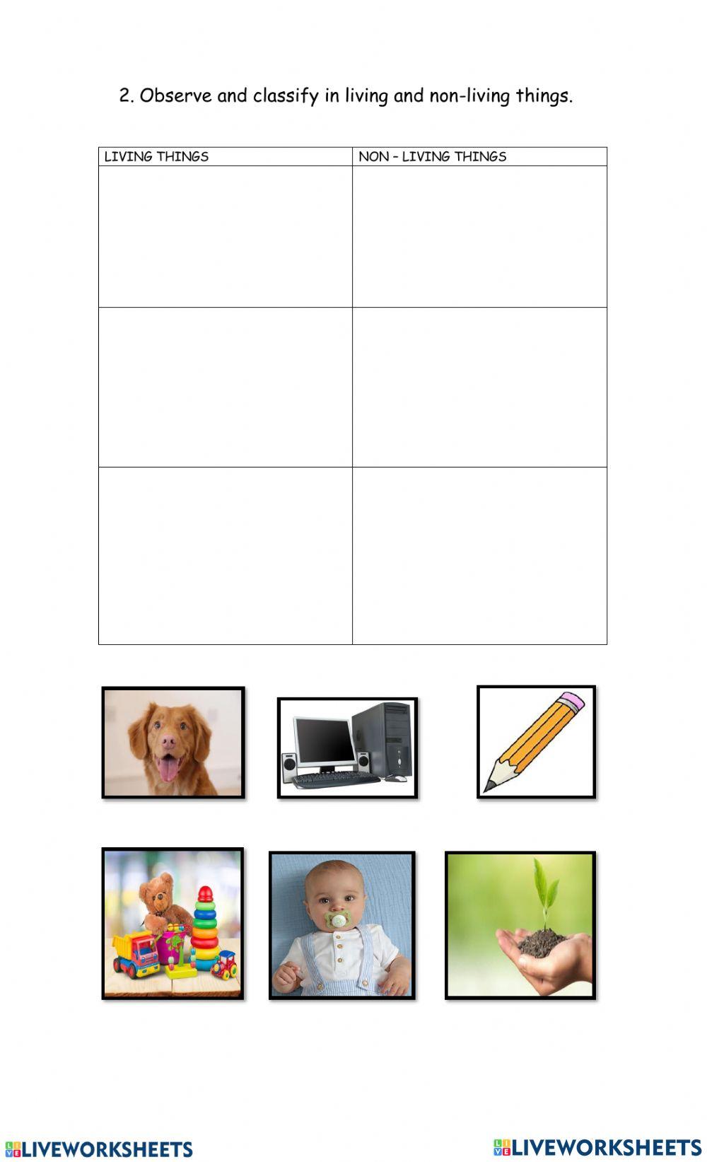 Living and Non-living things