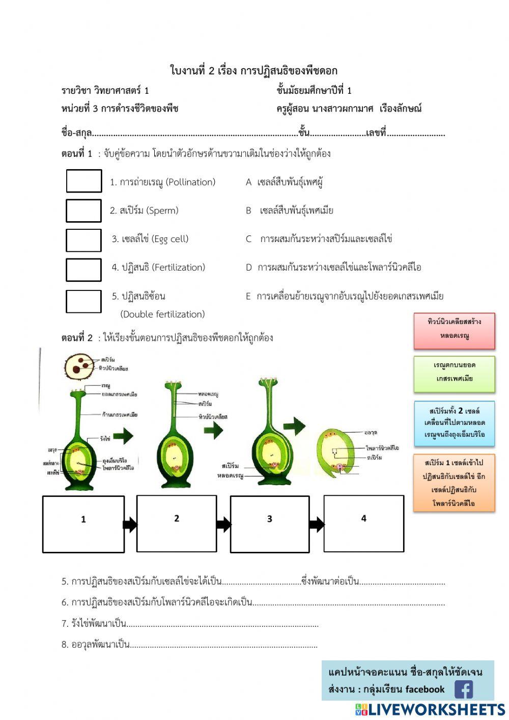 การปฏิสนธิของพืชดอก