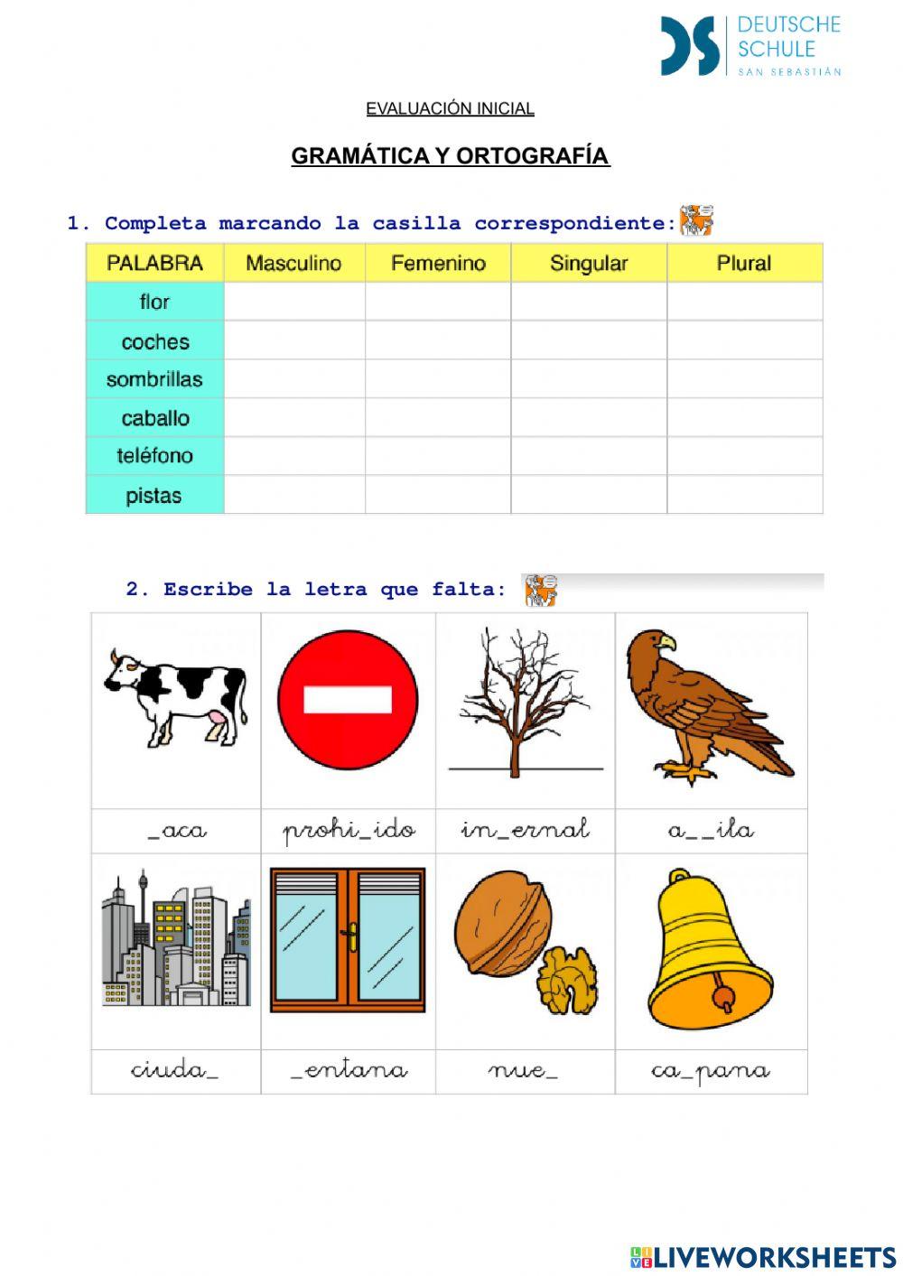 Evaluación Inicial-Gramática-ortografía