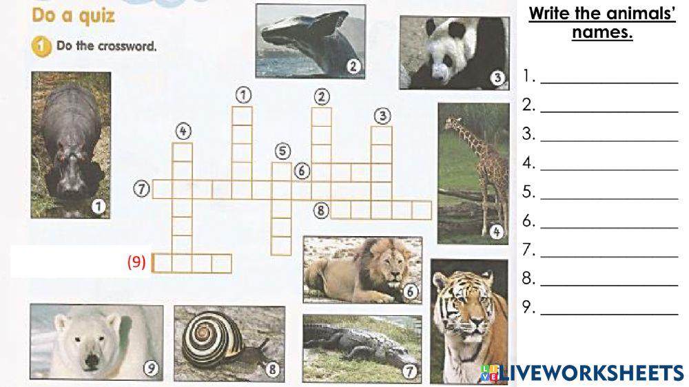 Amazing Animals (Workbook Page 68)