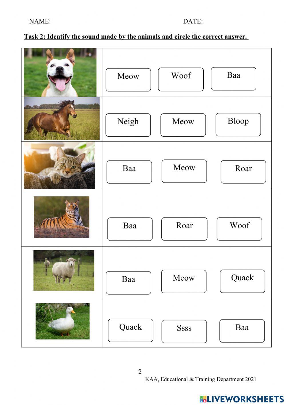 Sounds and Movements Made By Animals