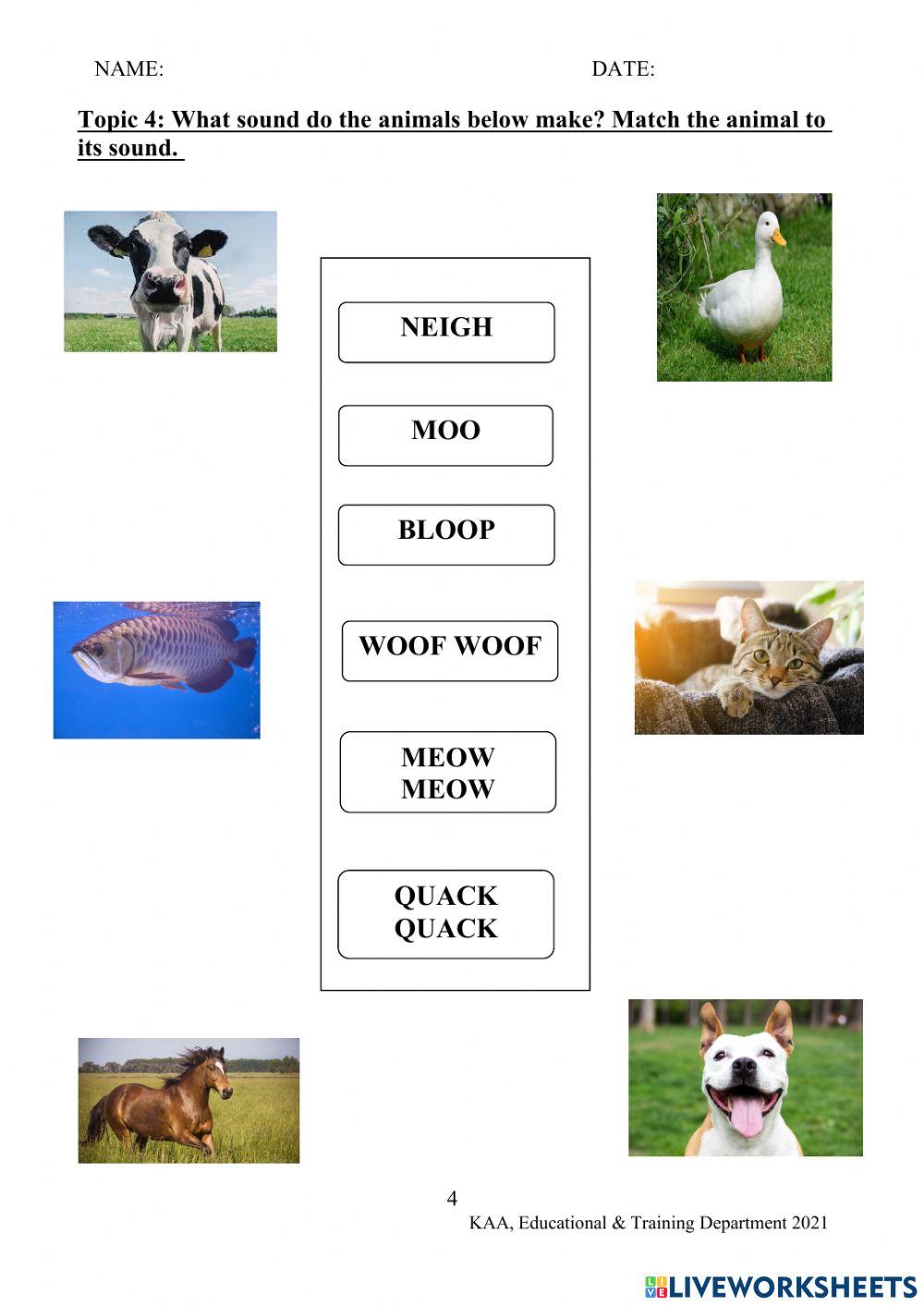 Sounds and Movements Made By Animals