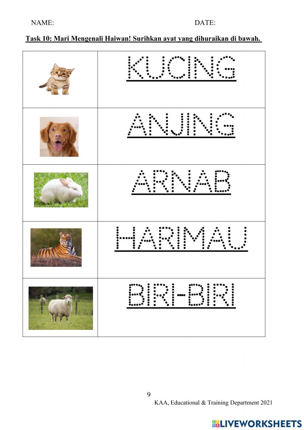 Sounds and Movements Made By Animals