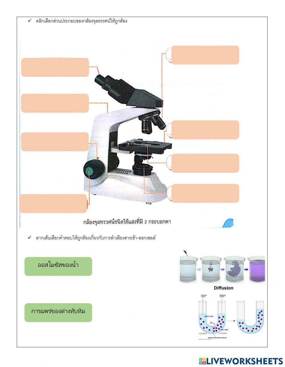 ม.1 แบบฝึกหัดลิมลิม