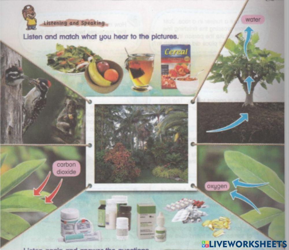 Treasures of Malaysia