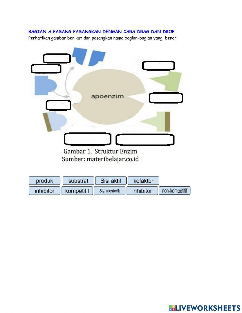 LKPD KD.3.2 ENZIM 12 IPA SEMESTER 5
