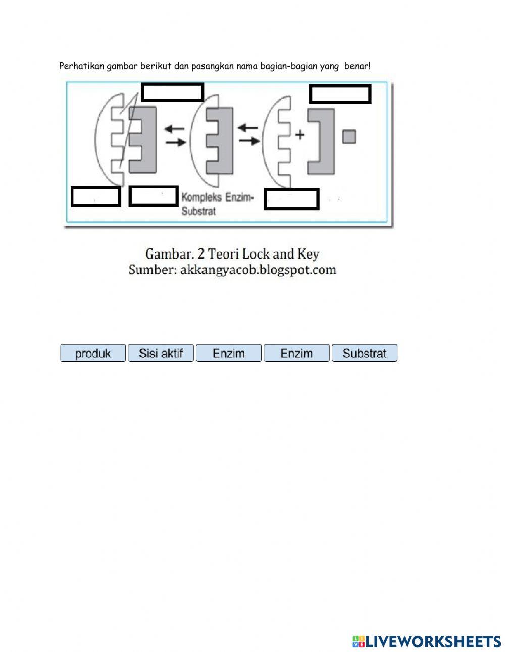 LKPD KD.3.2 ENZIM 12 IPA SEMESTER 5