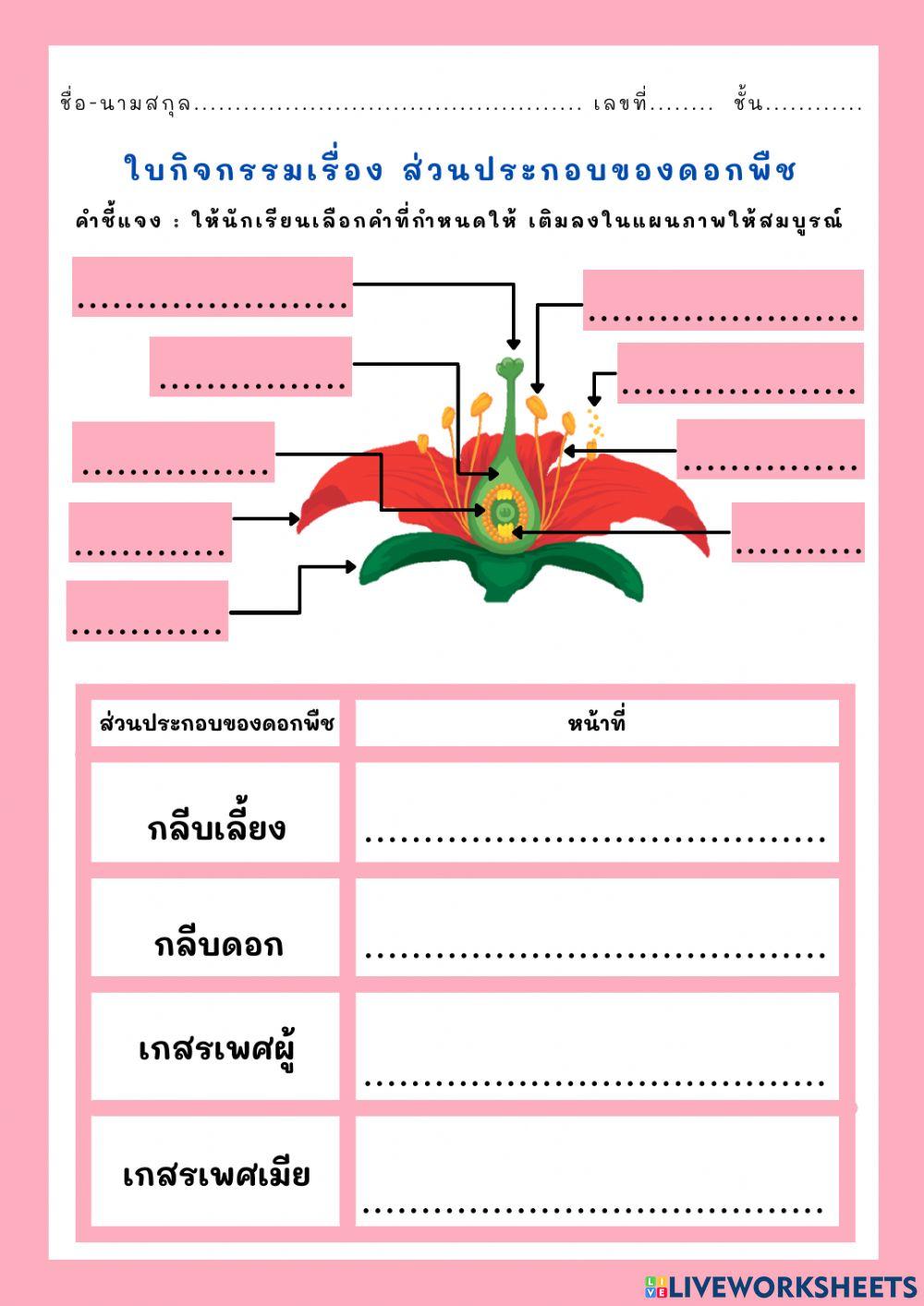 ส่วนประกอบของดอกพืช