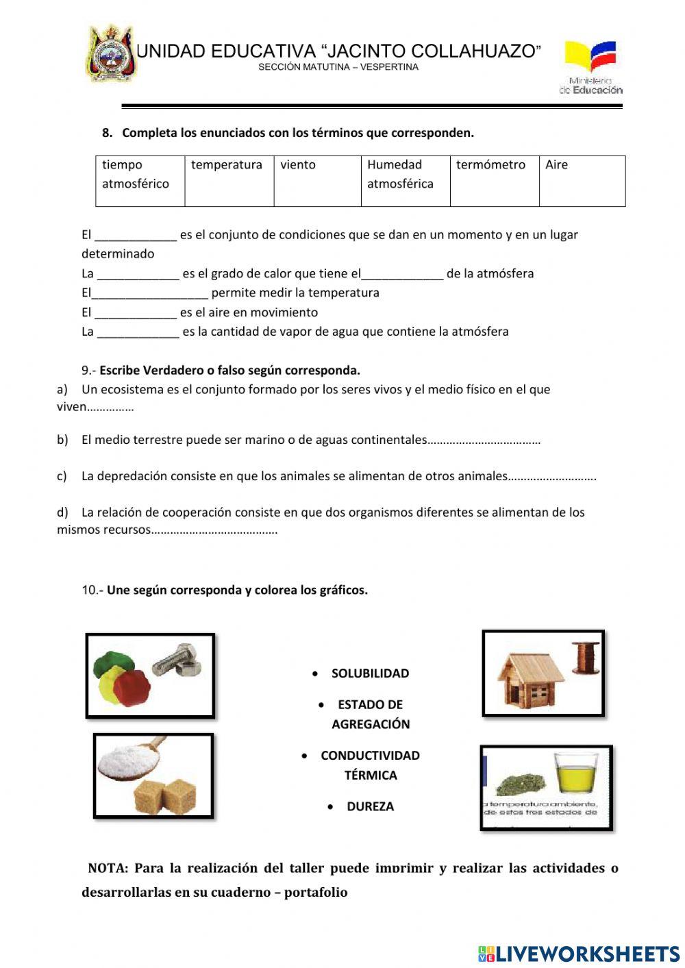 Evalucación diagnóstica CCNN