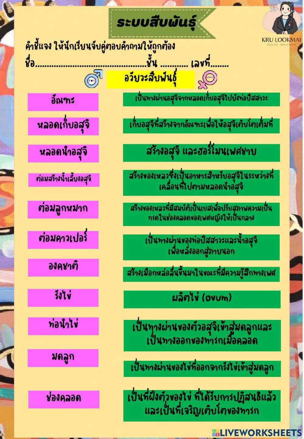 ระบบสืบพันธู์