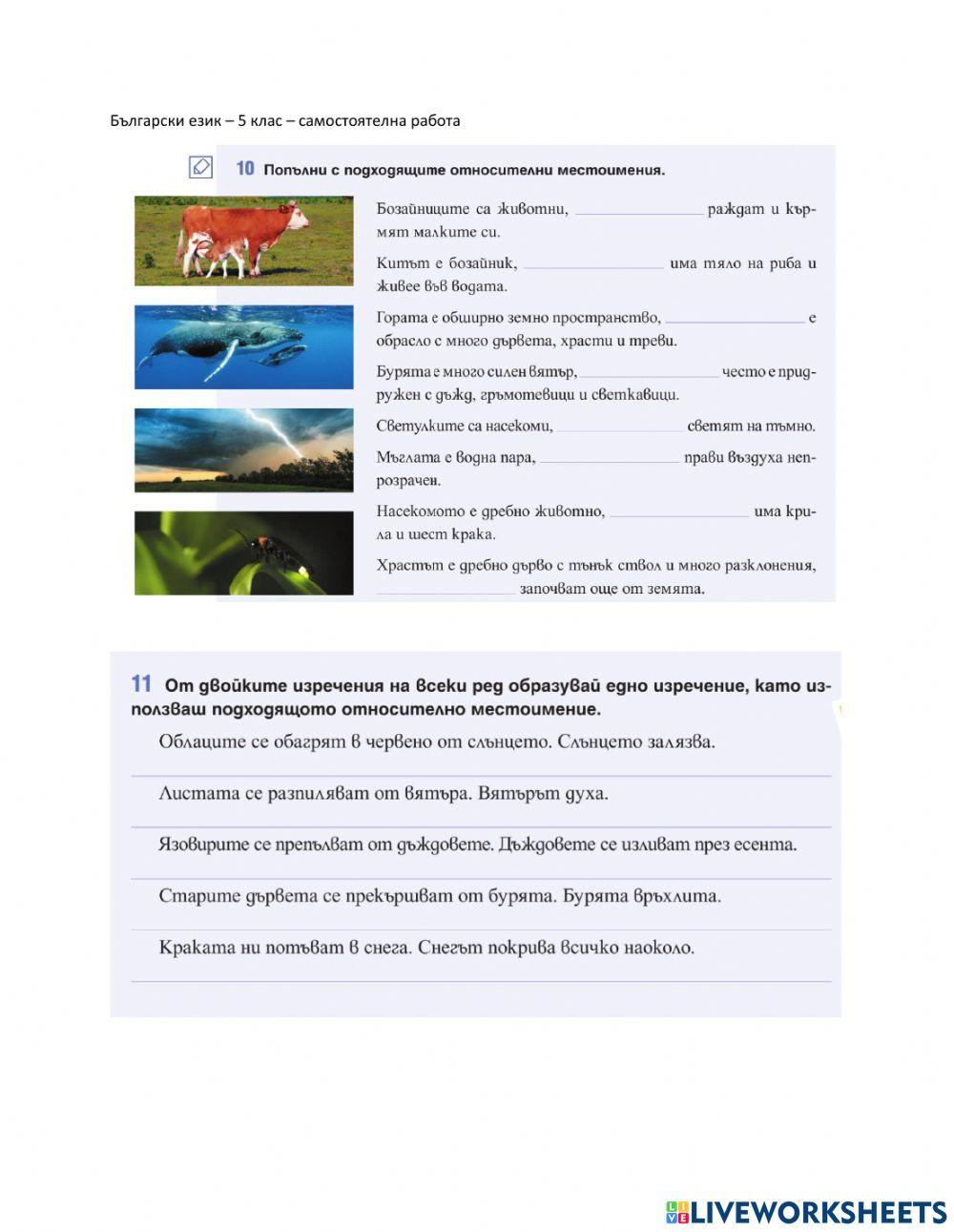 1354609 | Български език - 5 клас - относителни