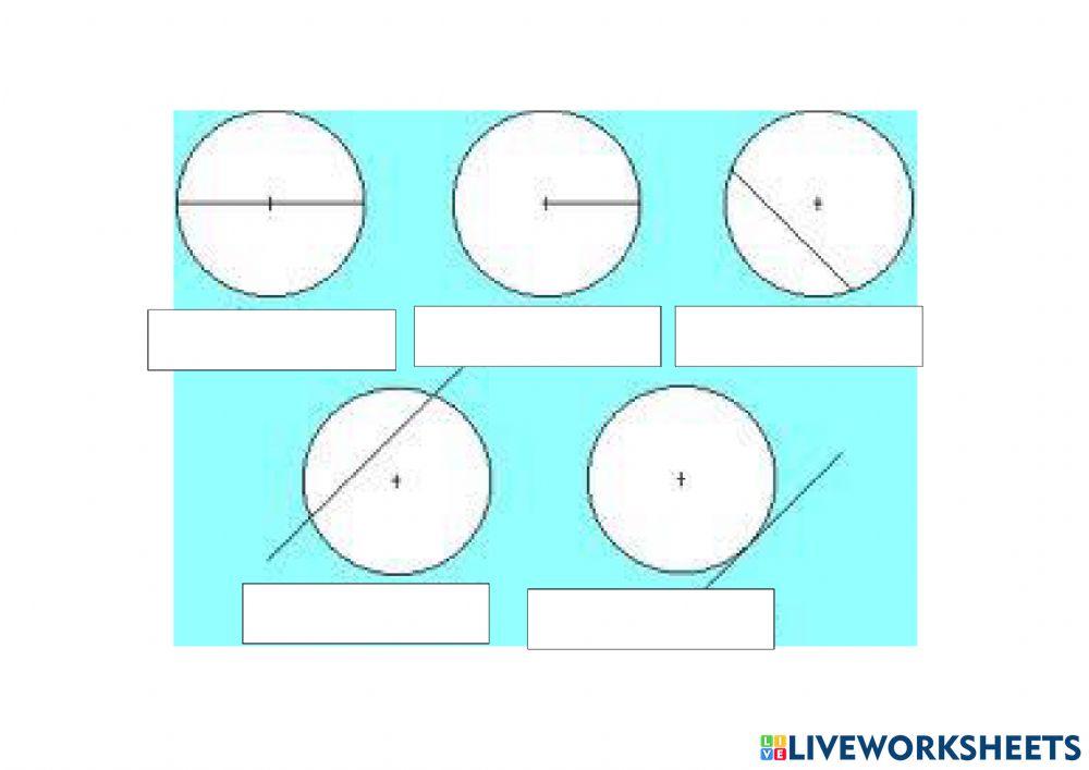Types of angles. Elements of a circumference.