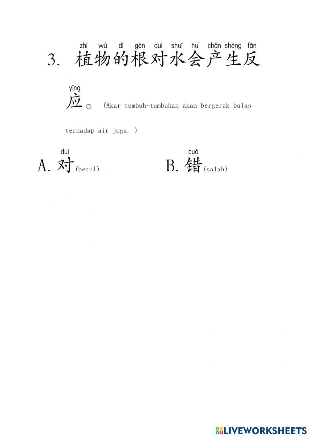 科学（6.9）（4m）