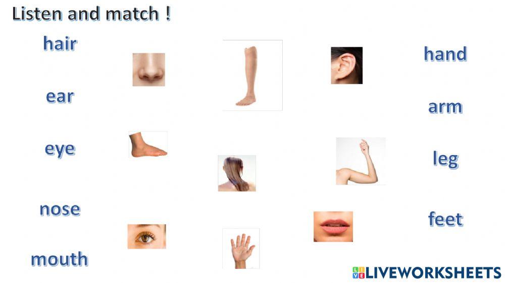 Connect plus kg1 term1 unit1  p5