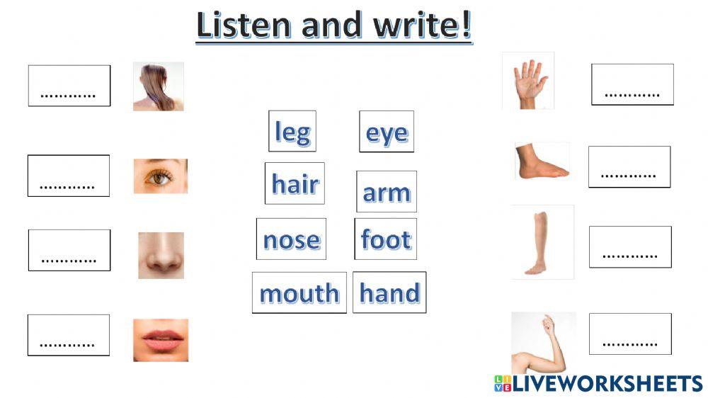 Connect plus kg1 term1 unit1  p5