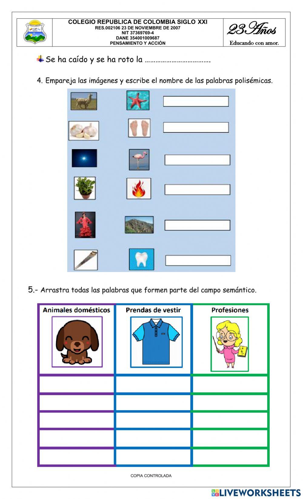 Bimestral grado tercero