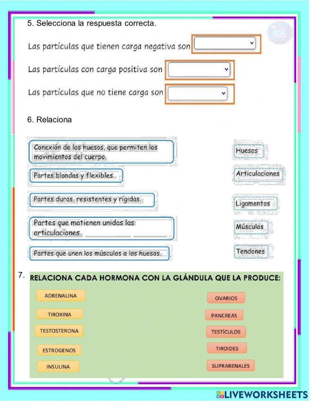 Evaluación ciencias