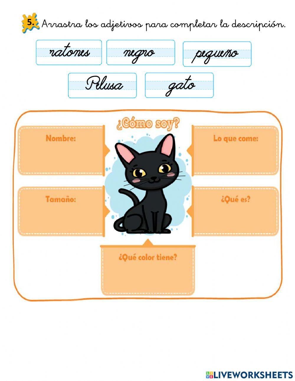 Demostrando lo aprendido comunicación