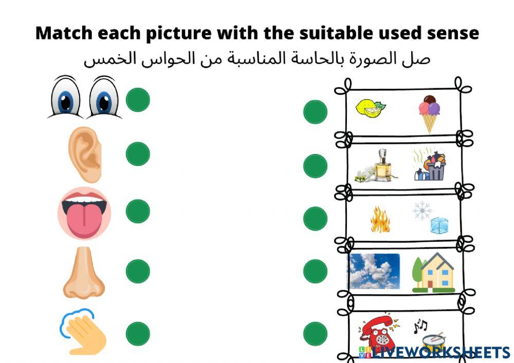 الحواس الخمس