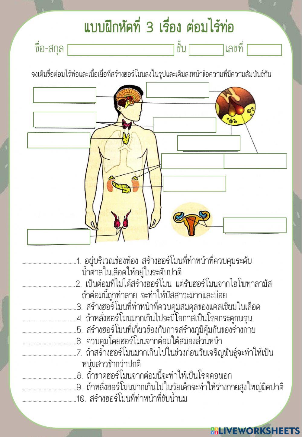 ต่อมไร้ท่อ