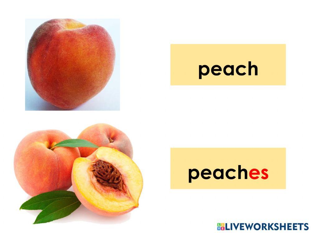 Unit 4: Lunch Time ( Fruits )