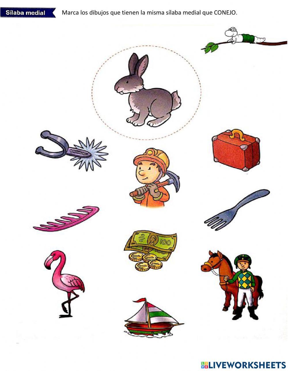 Marca los dibujos que tienen la misma sílaba medial que CONEJO