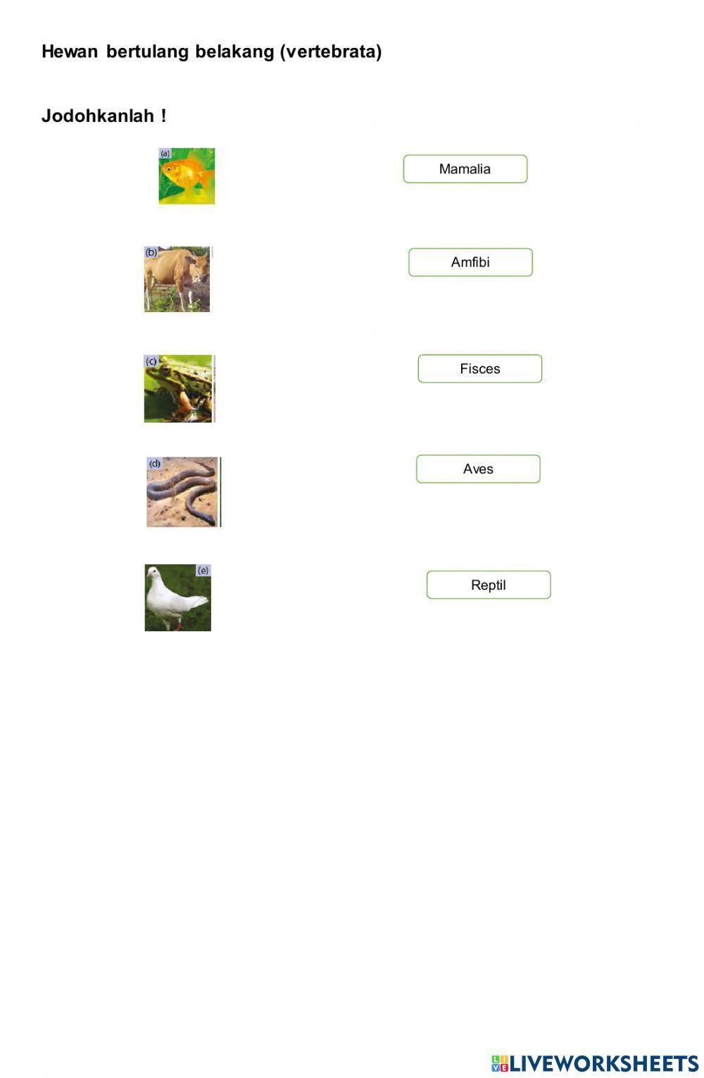 LKPD Animalia