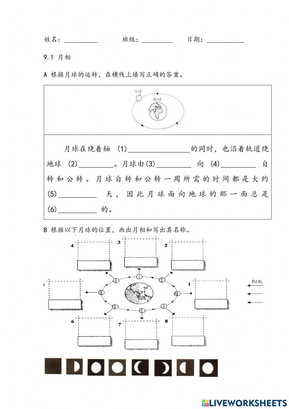 五年级 科学 月相