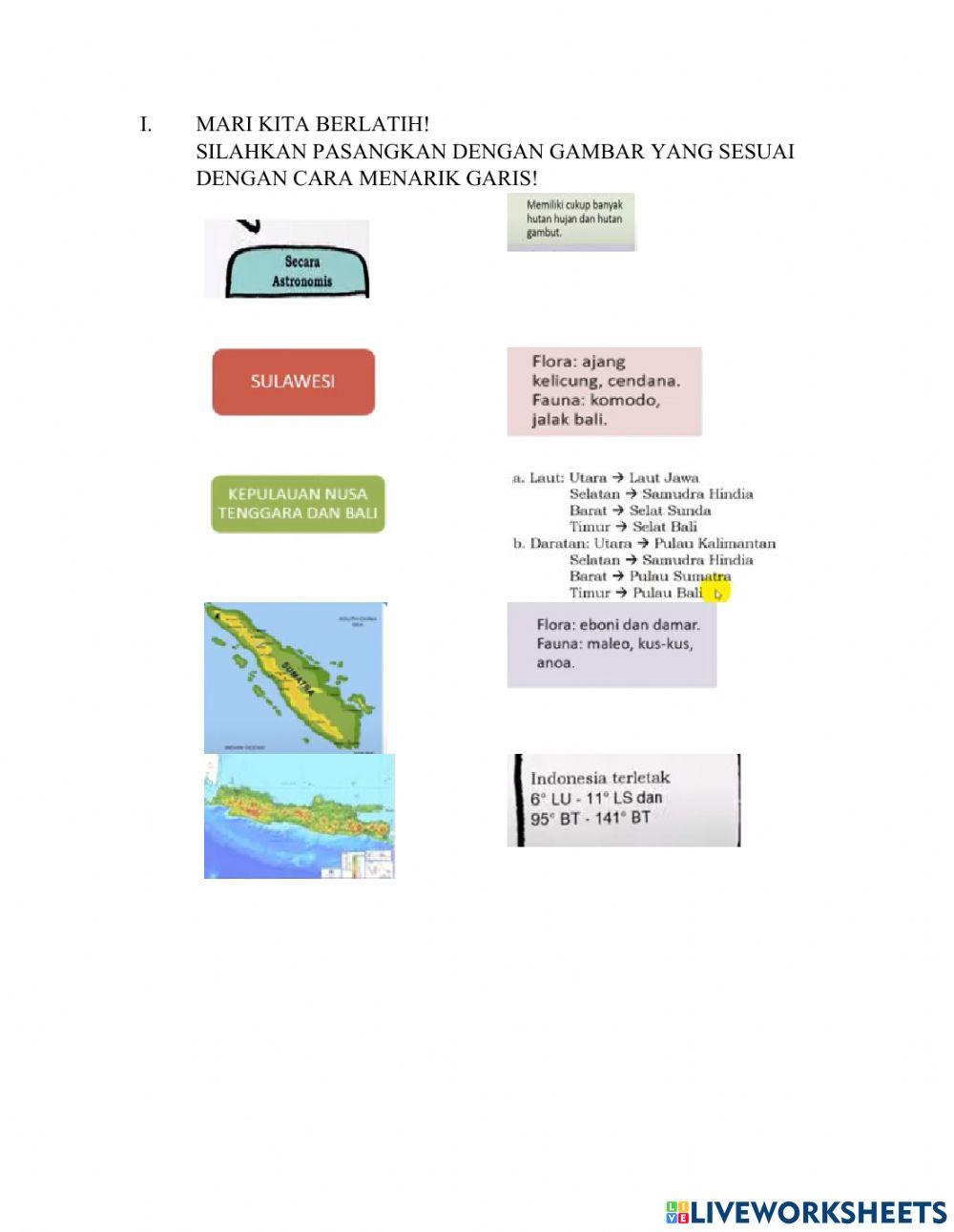 Ips tema 1 subtema 2