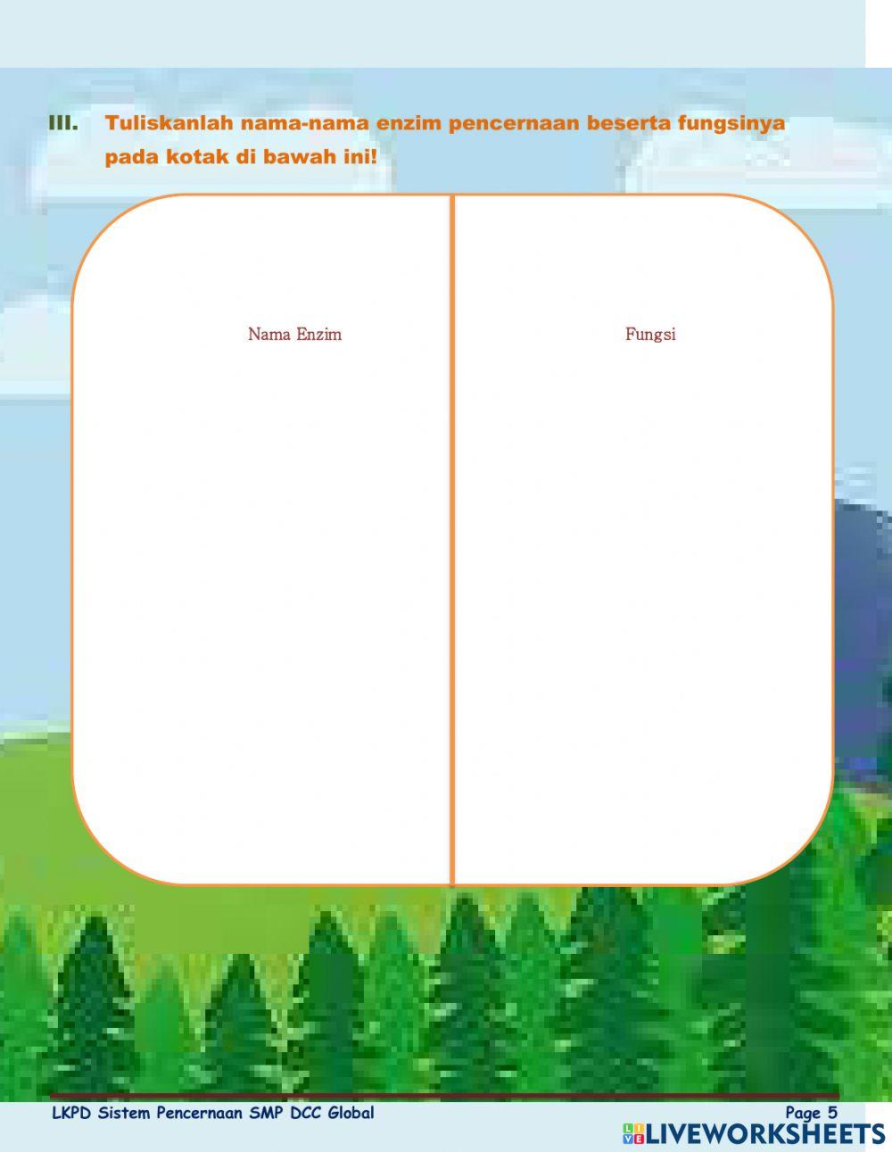 Sistem Pencernaan pada Manusia