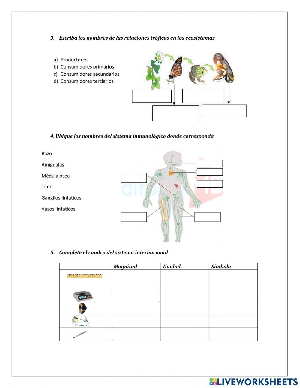 evaluación diagnóstica ccnn 9no