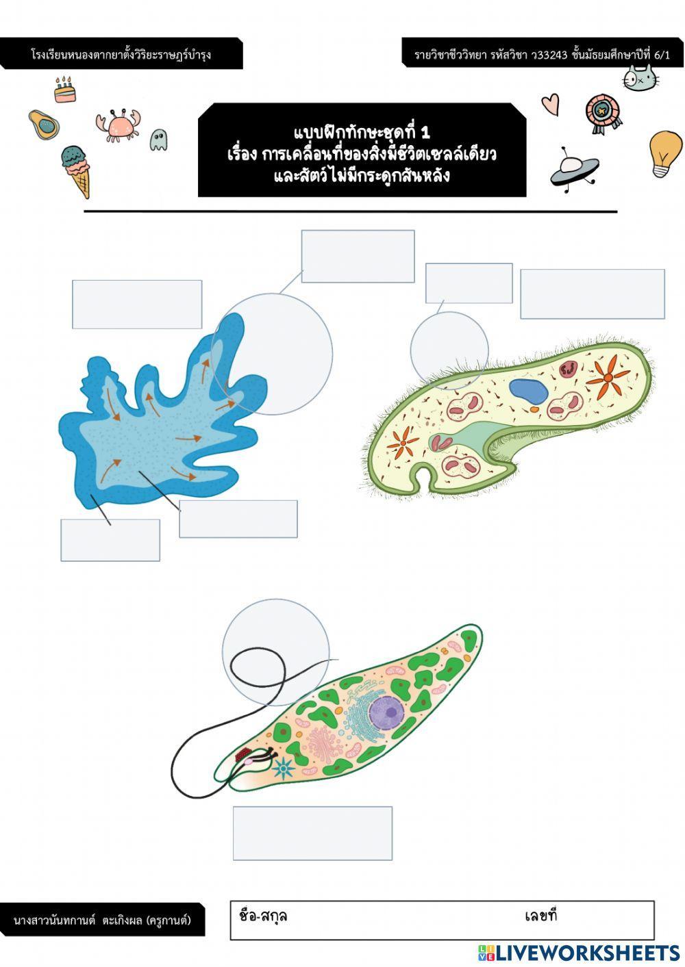 การเคลื่อนที่ของสิ่งมีชีวิตเซลล์เดียวและสัตว์ไม่มีกระดูกสันหลัง