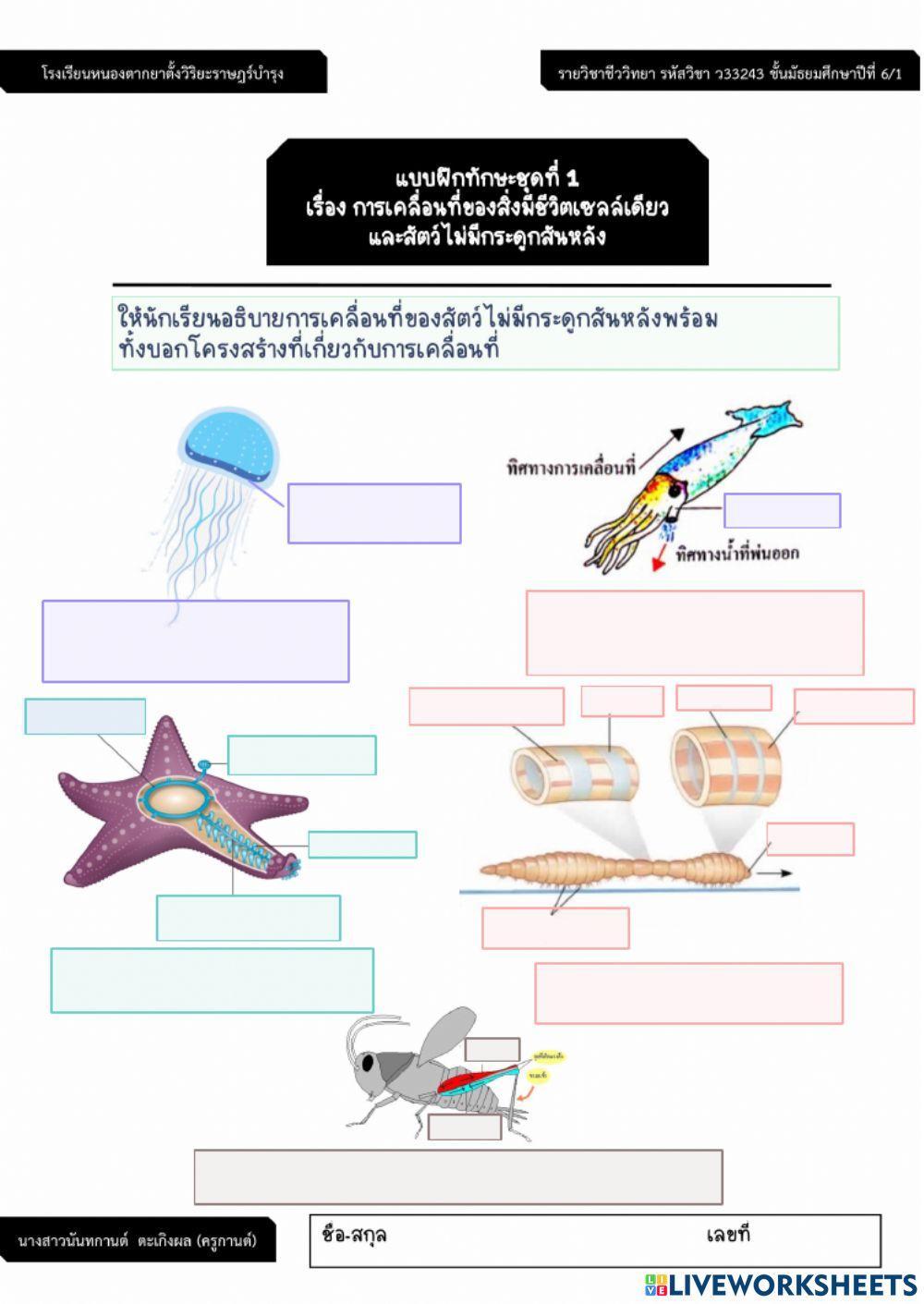 การเคลื่อนที่ของสิ่งมีชีวิตเซลล์เดียวและสัตว์ไม่มีกระดูกสันหลัง