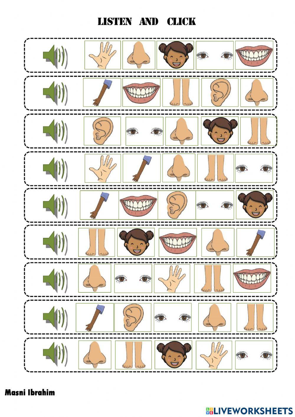 The parts of the body