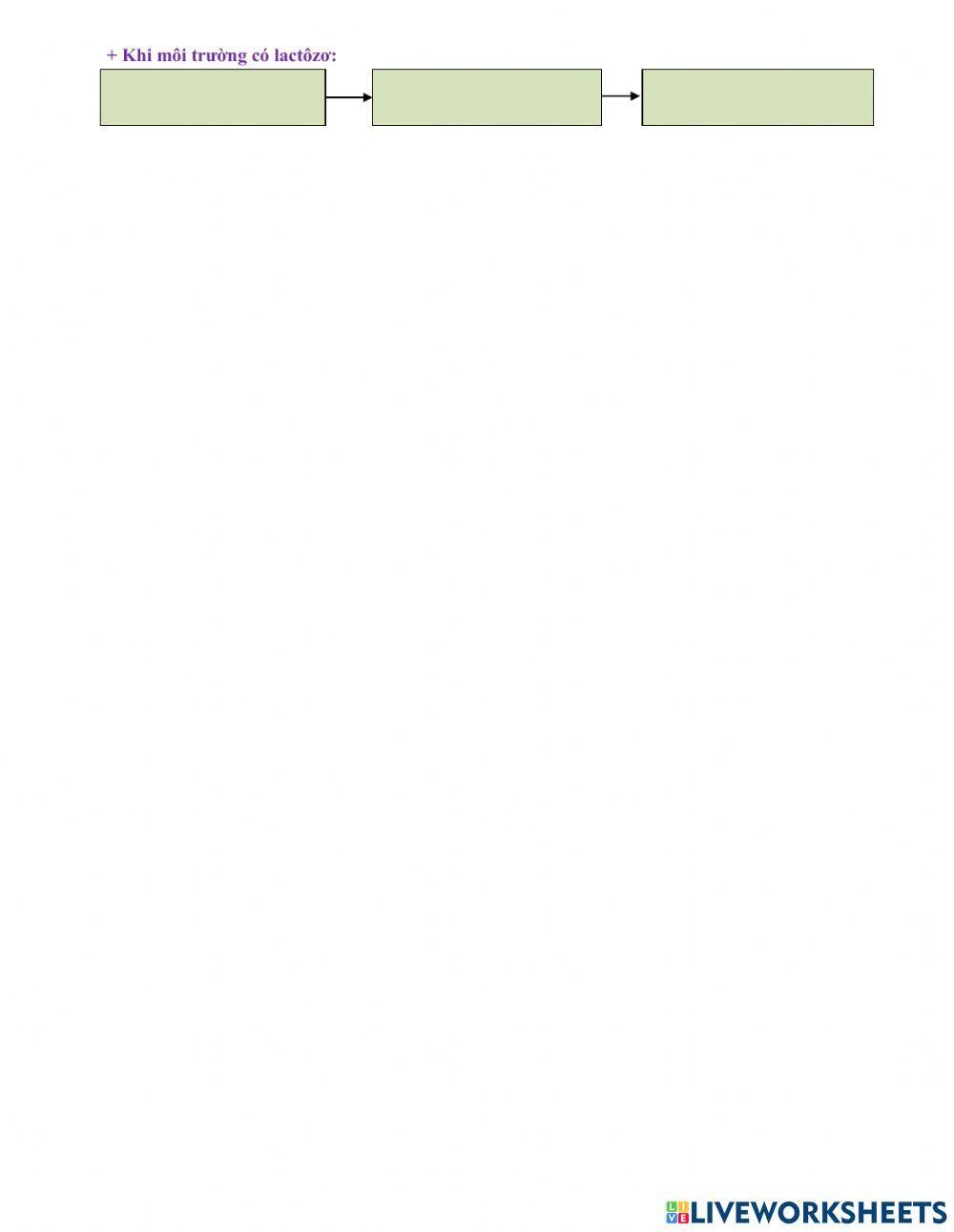 Bài 3: ĐIỀU HÒA HOẠT ĐỘNG GEN