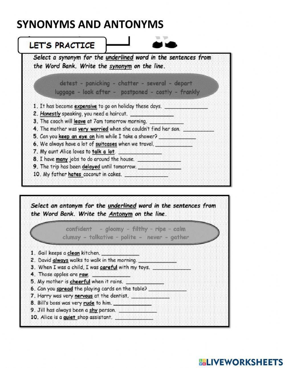 Synonyms and Antonyms