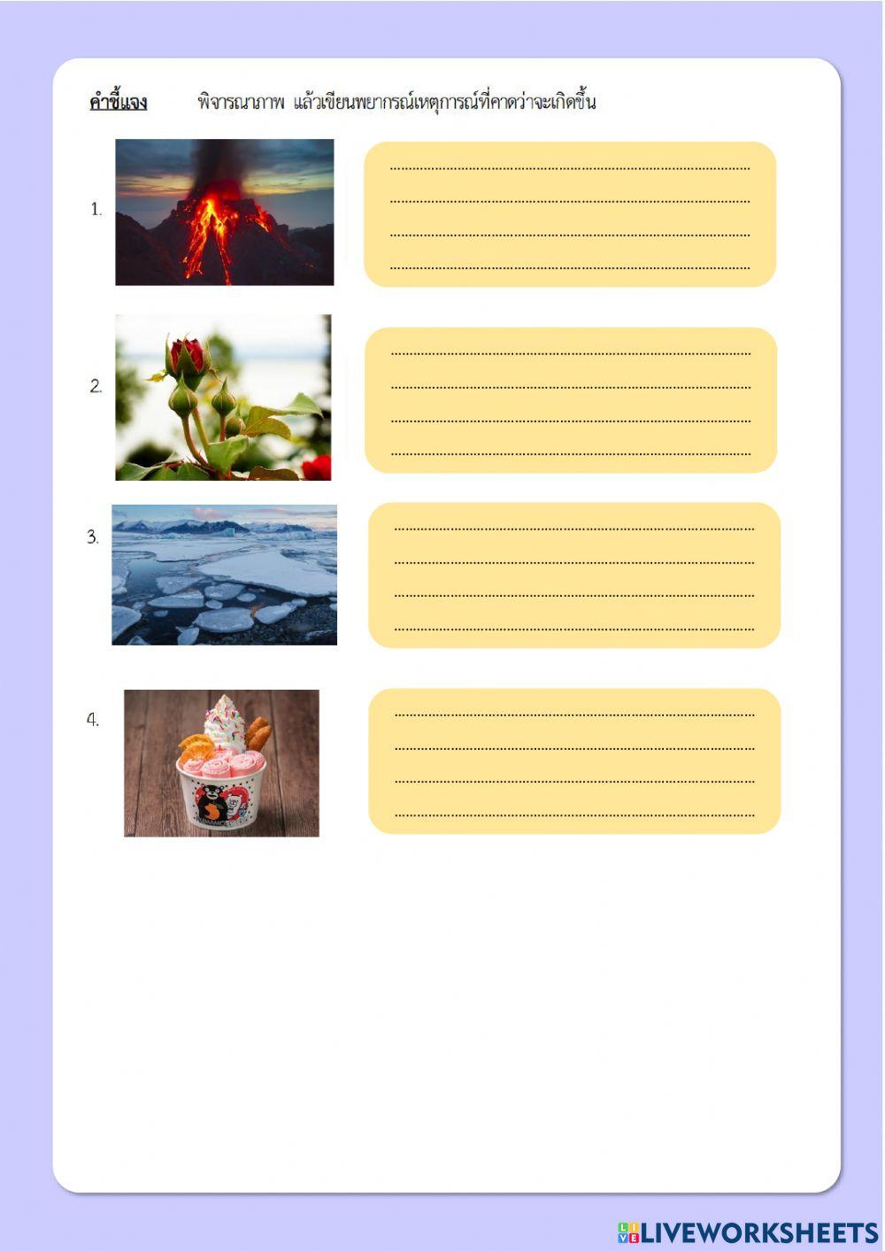 กิจกรรม การพยากรณ์