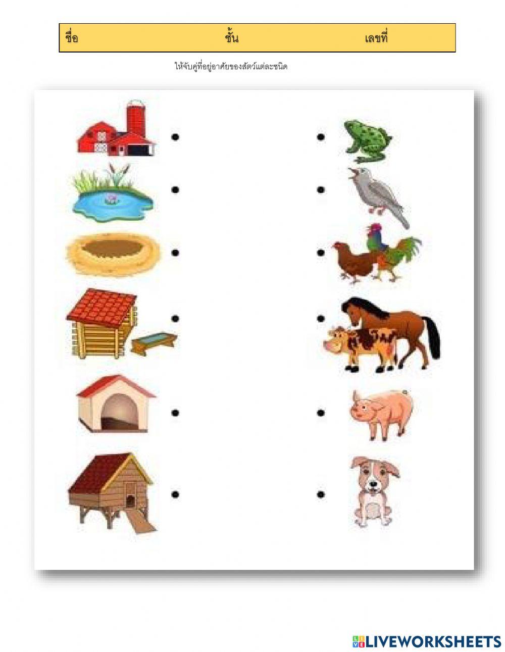 ที่อยู่อาศัยของสัตว์