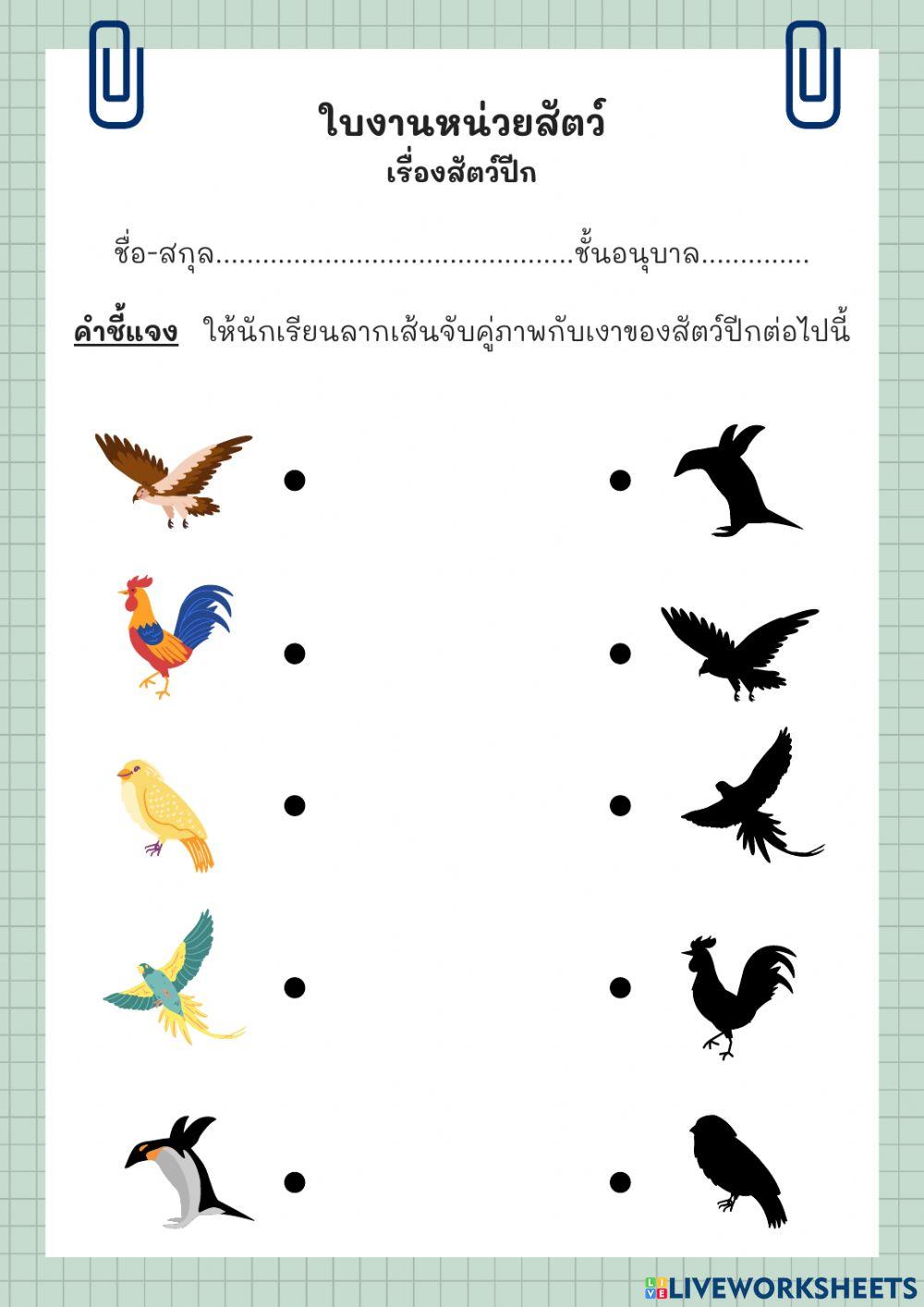 ใบกิจกรรมหน่วยสัตว์ เรื่องสัตว์ปีก