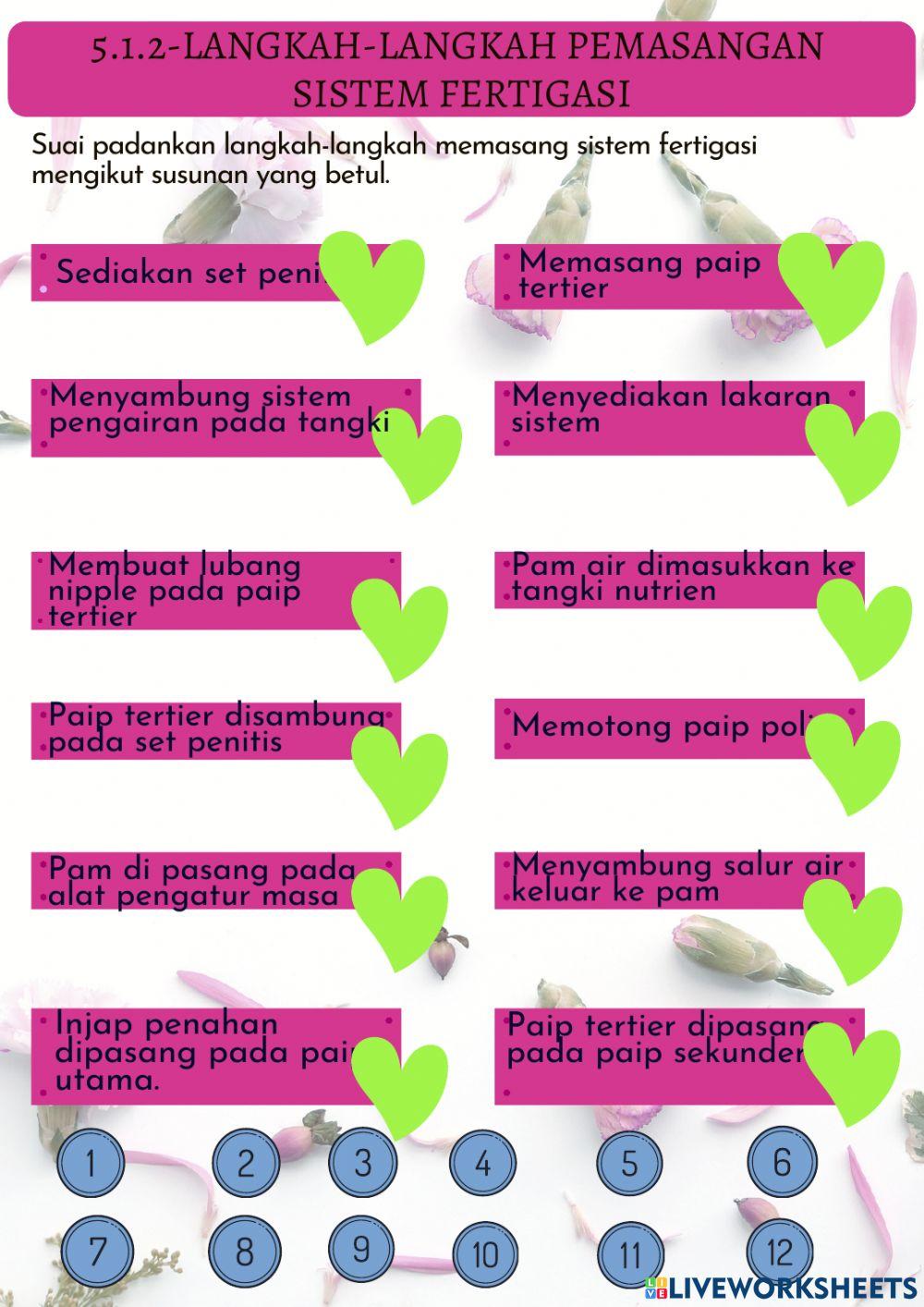 Langkah-langkah pemasangan sistem fertigasi