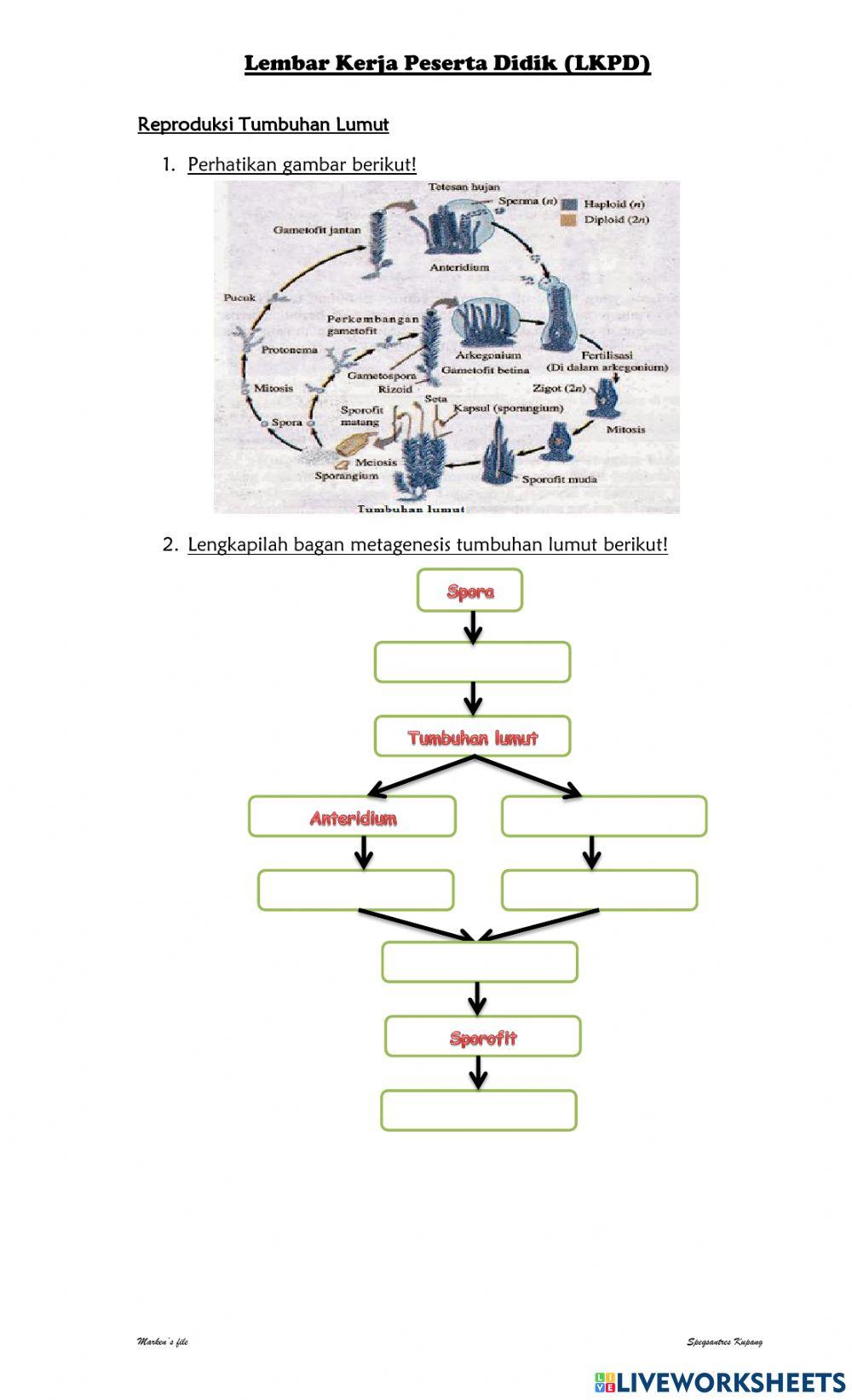 Sistem Reproduksi Tumbuhan dan Hewan