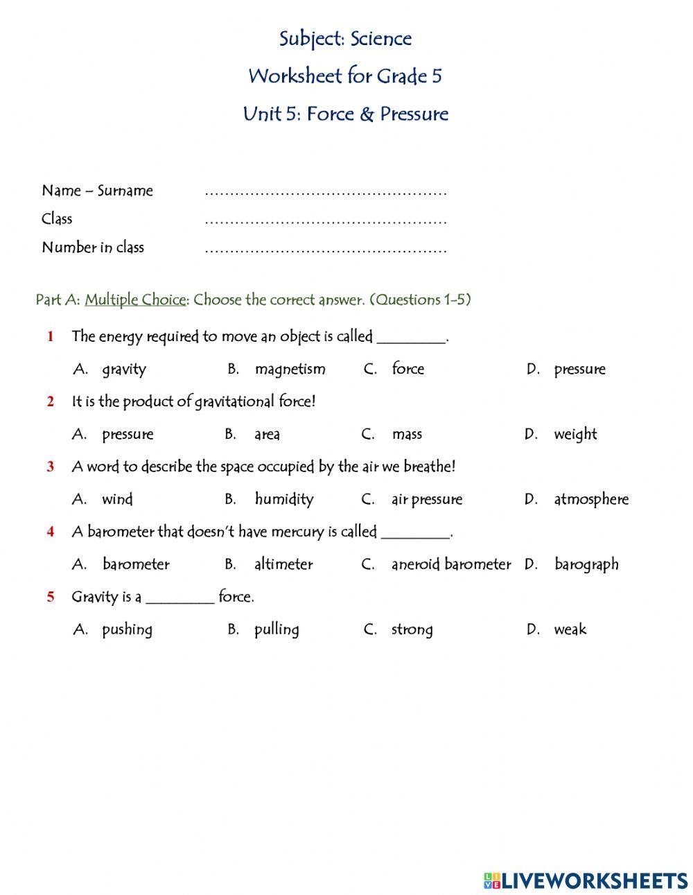 Worksheet