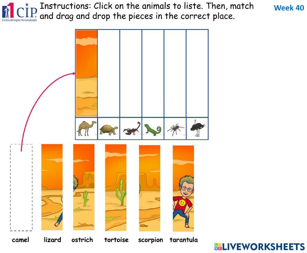 KIDS Desert Animals Week 40