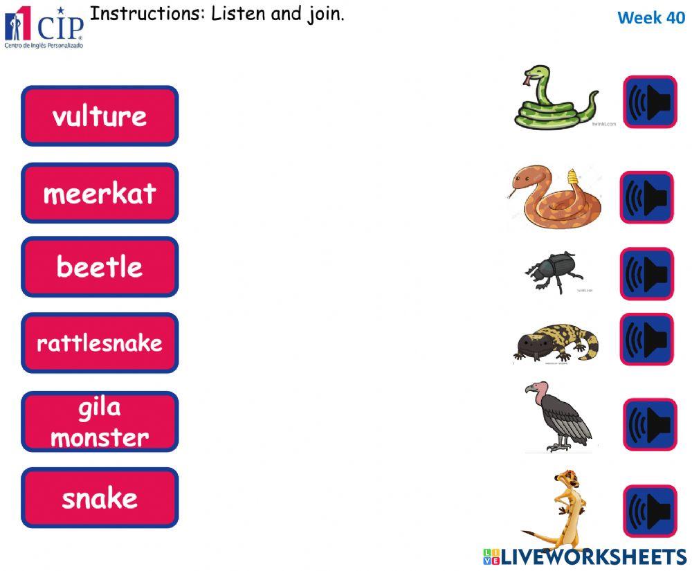 KIDS Desert Animals Week 40