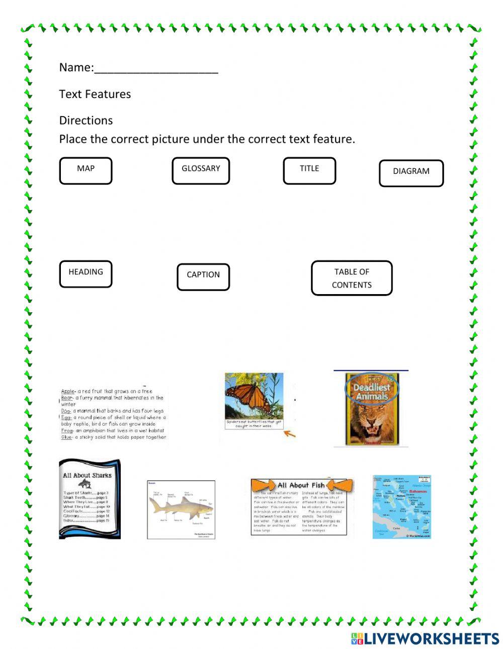 Text Features Graphics Worksheet Live Worksheets, 46% OFF