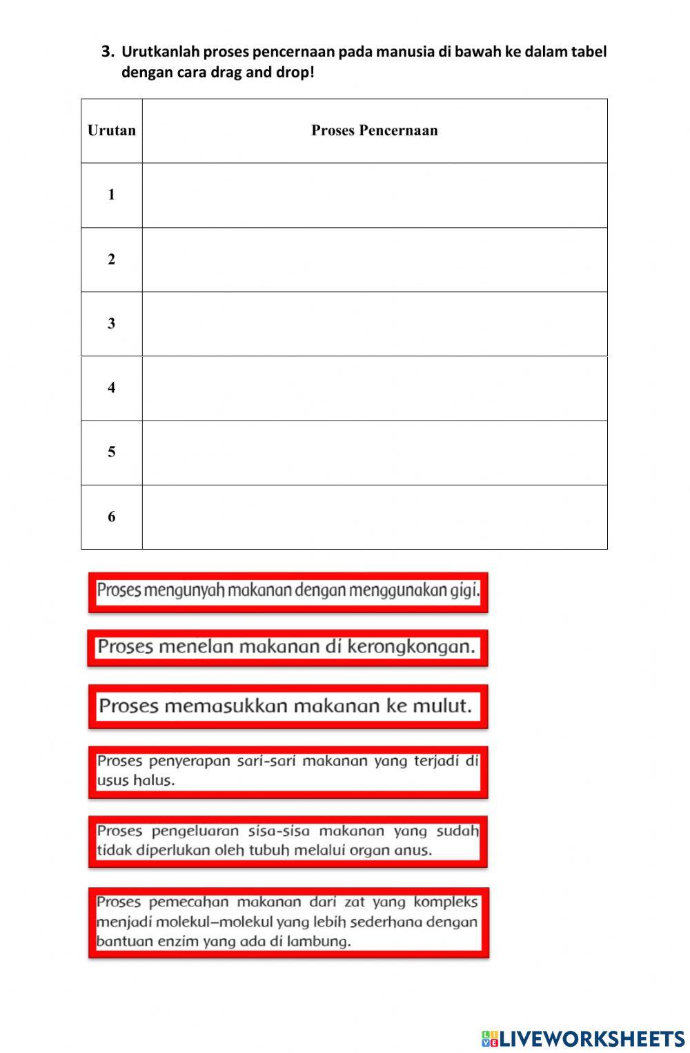 Sistem Pencernaan Manusia